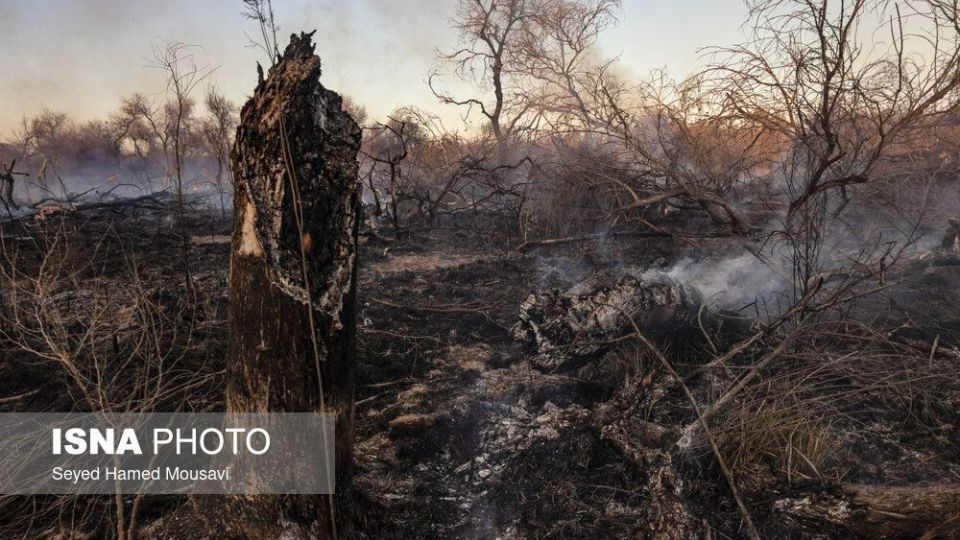 آتش‌سوزی در اراضی جنگلی پارک ملی کرخه