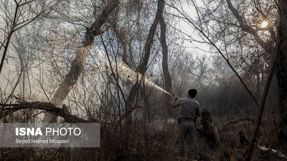 آتش‌سوزی در اراضی جنگلی پارک ملی کرخه