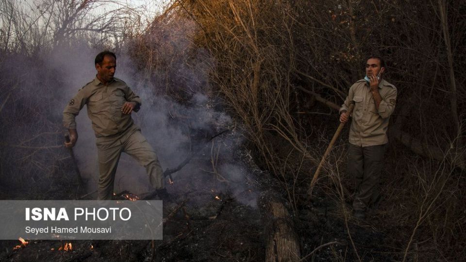 آتش‌سوزی در اراضی جنگلی پارک ملی کرخه