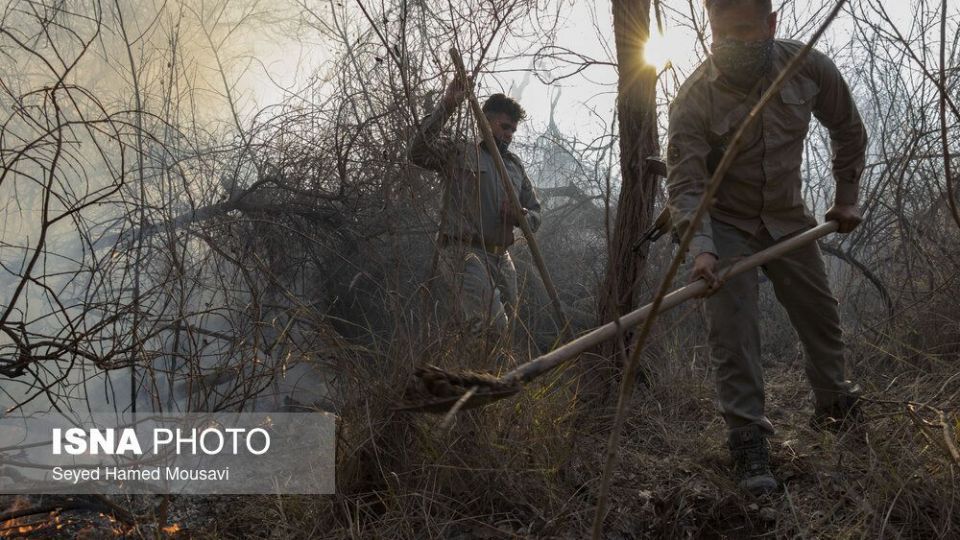آتش‌سوزی در اراضی جنگلی پارک ملی کرخه