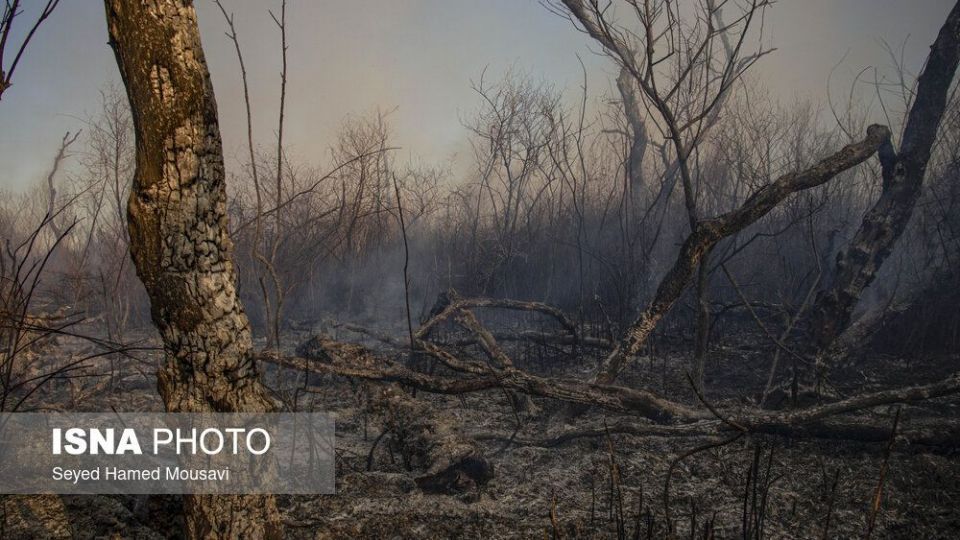 آتش‌سوزی در اراضی جنگلی پارک ملی کرخه