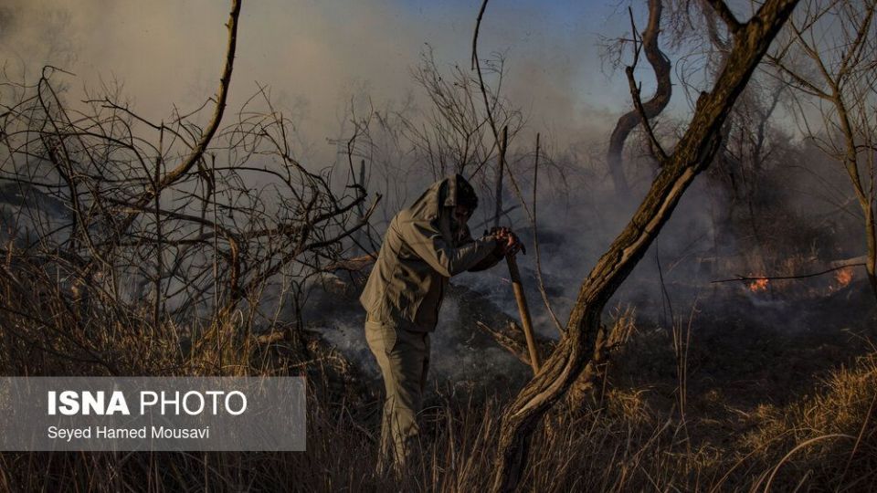 آتش‌سوزی در اراضی جنگلی پارک ملی کرخه