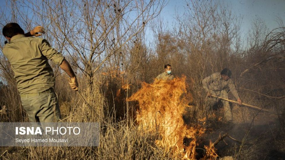 آتش‌سوزی در اراضی جنگلی پارک ملی کرخه