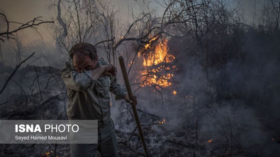 آتش‌سوزی در اراضی جنگلی پارک ملی کرخه