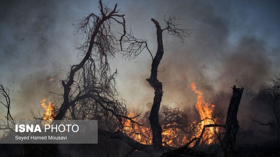 آتش‌سوزی در اراضی جنگلی پارک ملی کرخه