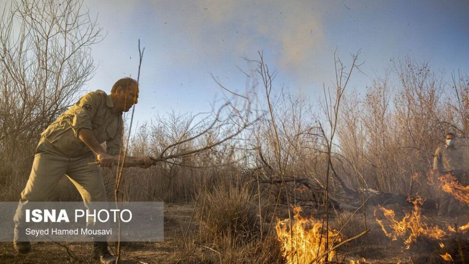 آتش‌سوزی در اراضی جنگلی پارک ملی کرخه