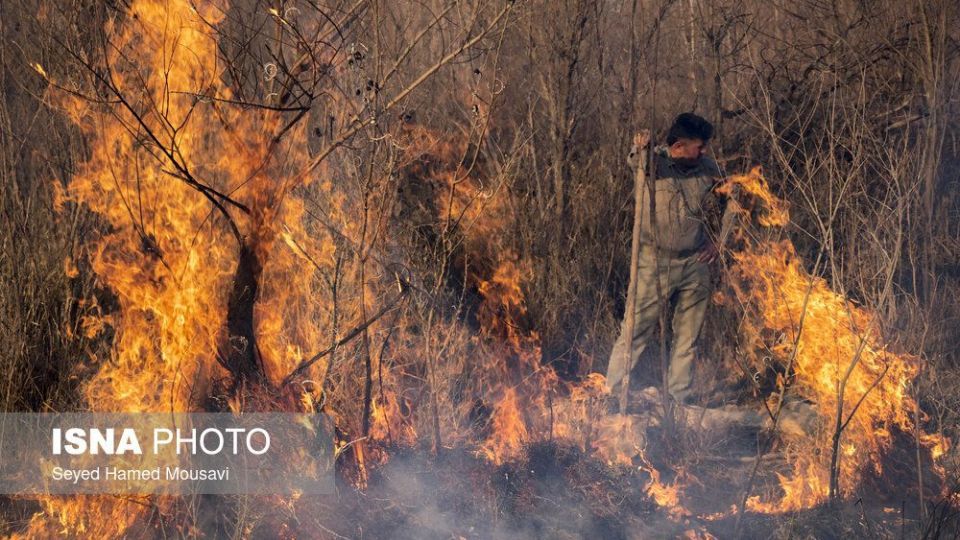 آتش‌سوزی در اراضی جنگلی پارک ملی کرخه