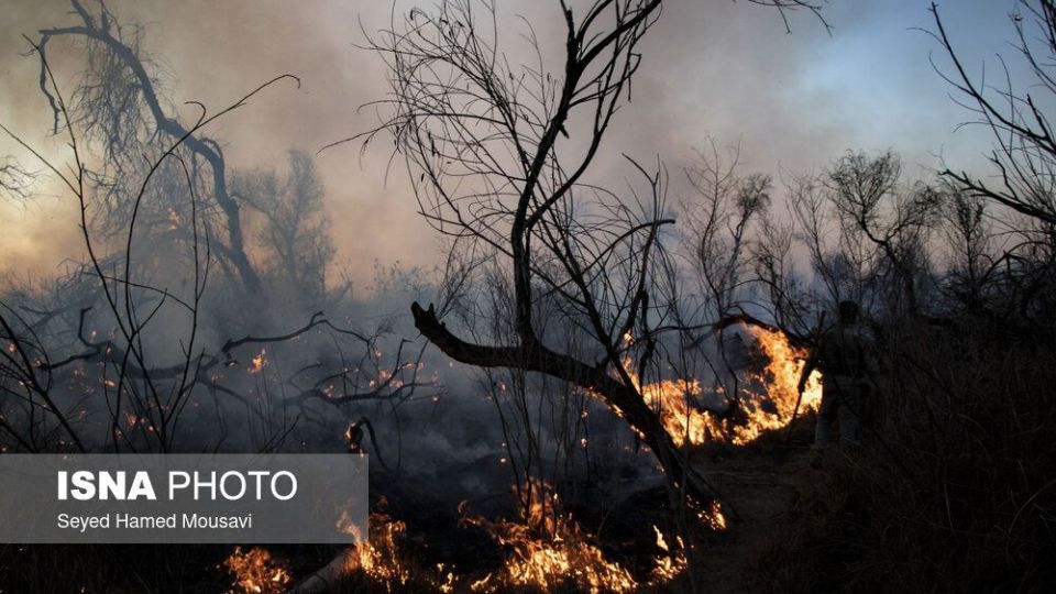 آتش‌سوزی در اراضی جنگلی پارک ملی کرخه