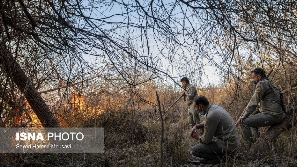 آتش‌سوزی در اراضی جنگلی پارک ملی کرخه