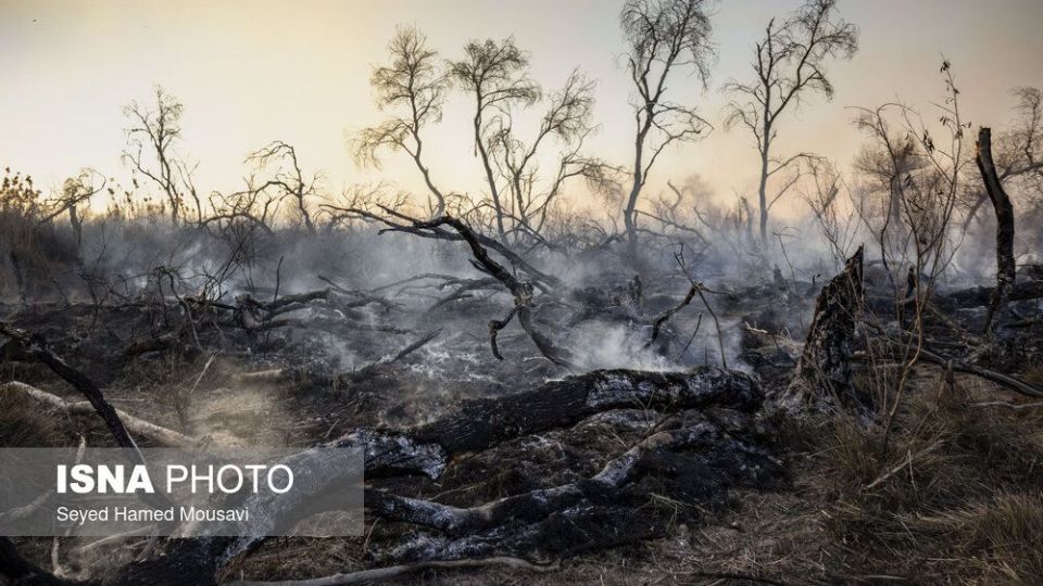 آتش‌سوزی در اراضی جنگلی پارک ملی کرخه