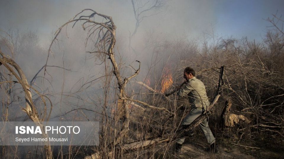 آتش‌سوزی در اراضی جنگلی پارک ملی کرخه