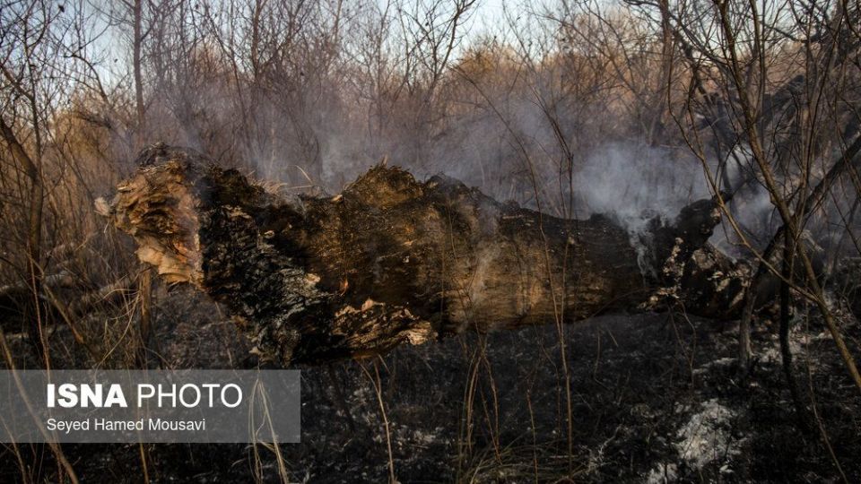 آتش‌سوزی در اراضی جنگلی پارک ملی کرخه