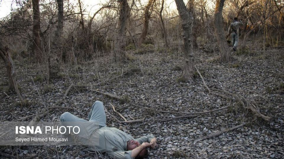 آتش‌سوزی در اراضی جنگلی پارک ملی کرخه