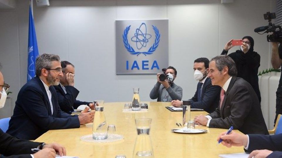 گروسی: گفت‌وگوهای مهمی با باقری داشتم