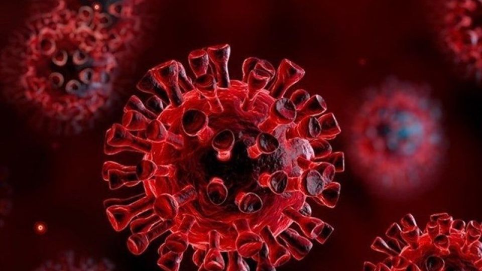سیستم ایمنی مردان در برابر کرونا ویروس ضعیف تر است