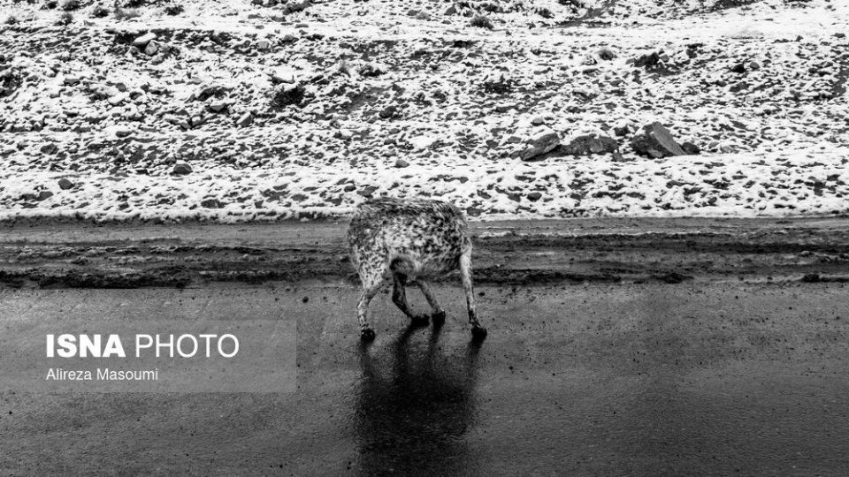 برف در حوالی