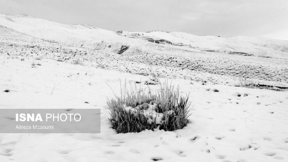 برف در حوالی