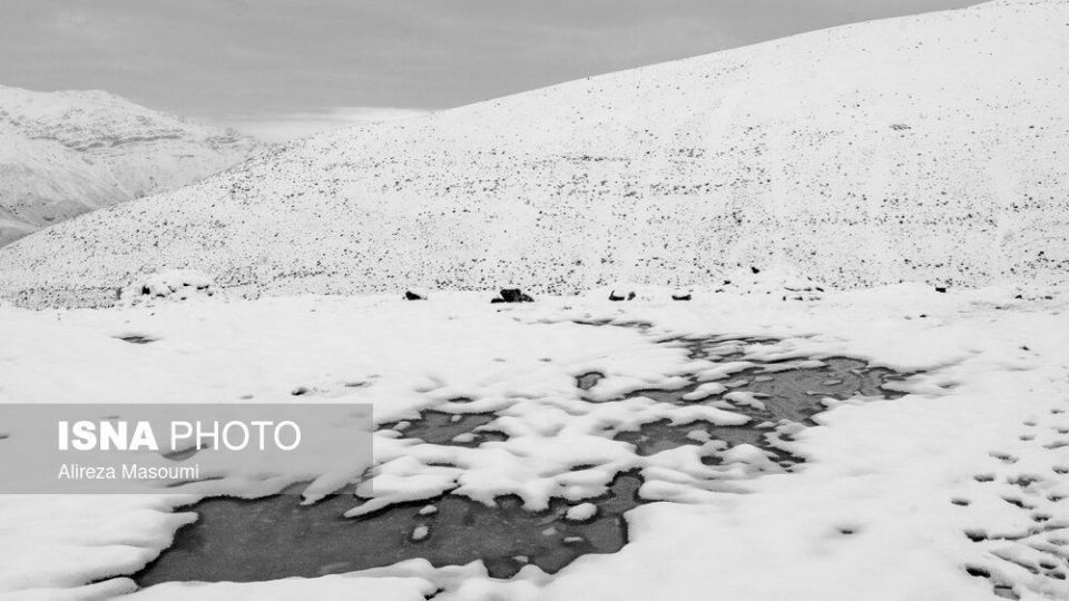 برف در حوالی