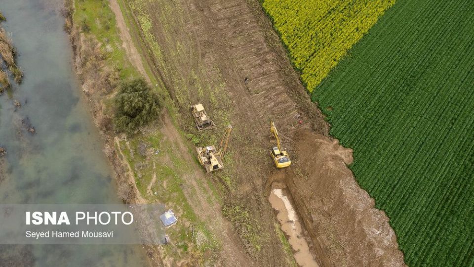 پارک ملی کرخه؛ زیستگاه گوزن زرد