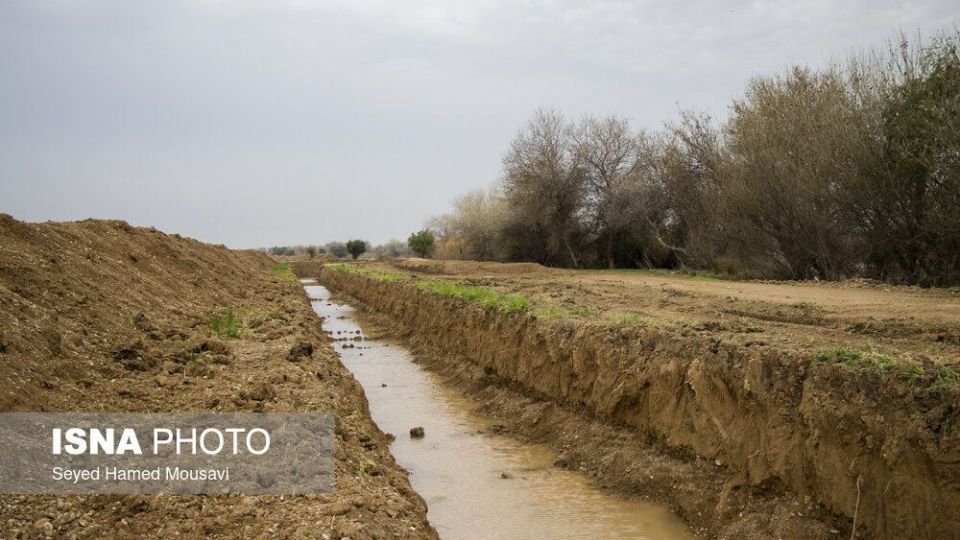 پارک ملی کرخه؛ زیستگاه گوزن زرد