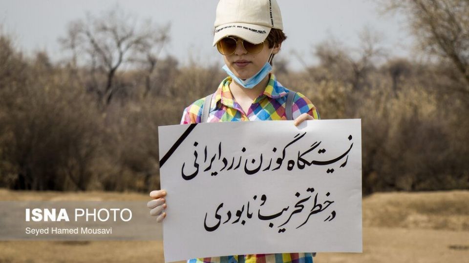 پارک ملی کرخه؛ زیستگاه گوزن زرد