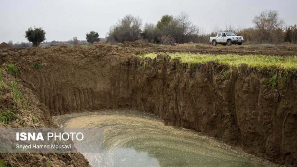 پارک ملی کرخه؛ زیستگاه گوزن زرد