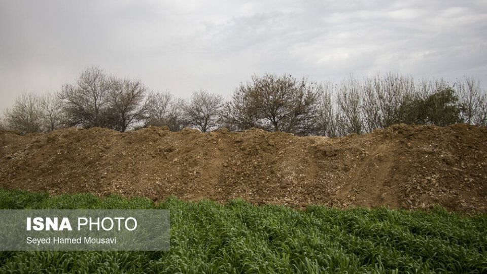 پارک ملی کرخه؛ زیستگاه گوزن زرد