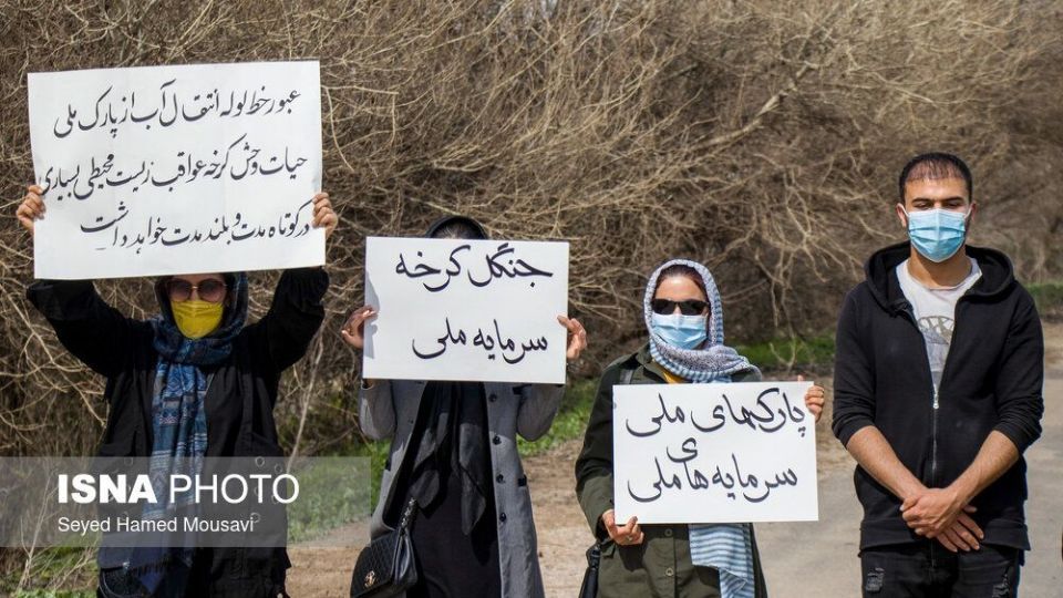 پارک ملی کرخه؛ زیستگاه گوزن زرد