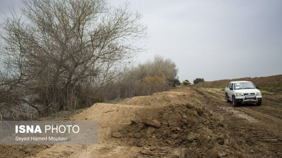 پارک ملی کرخه؛ زیستگاه گوزن زرد