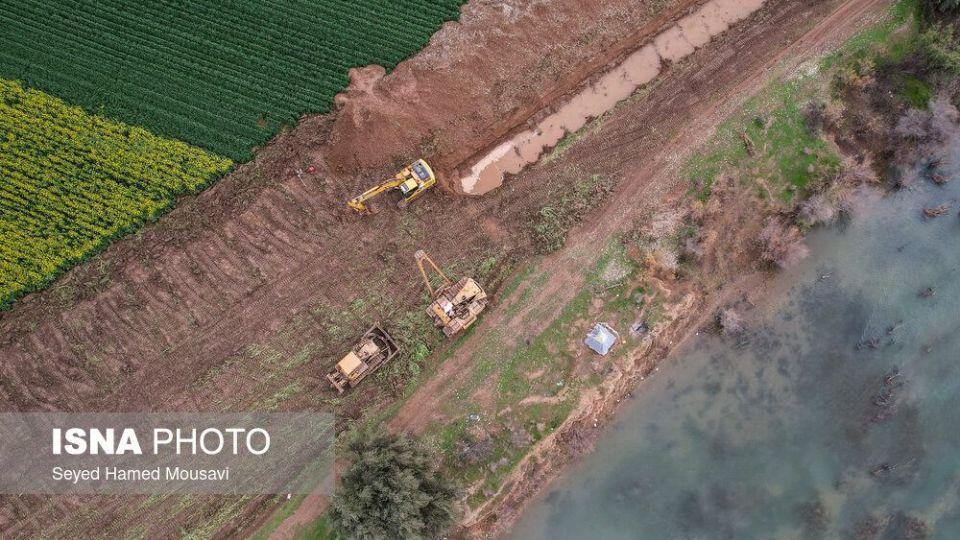 پارک ملی کرخه؛ زیستگاه گوزن زرد