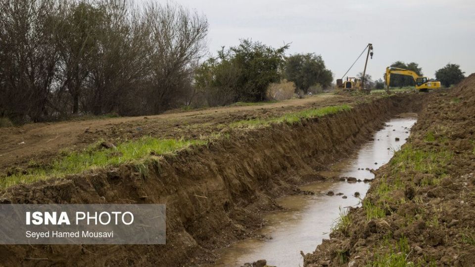 پارک ملی کرخه؛ زیستگاه گوزن زرد