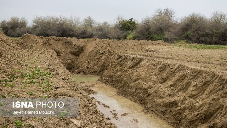 پارک ملی کرخه؛ زیستگاه گوزن زرد