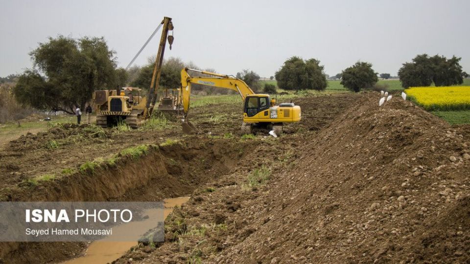 پارک ملی کرخه؛ زیستگاه گوزن زرد