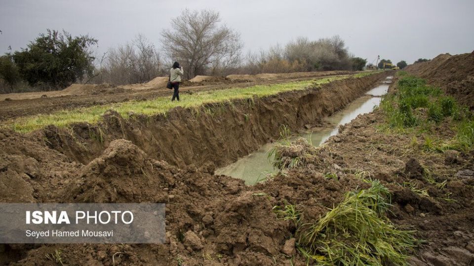 پارک ملی کرخه؛ زیستگاه گوزن زرد