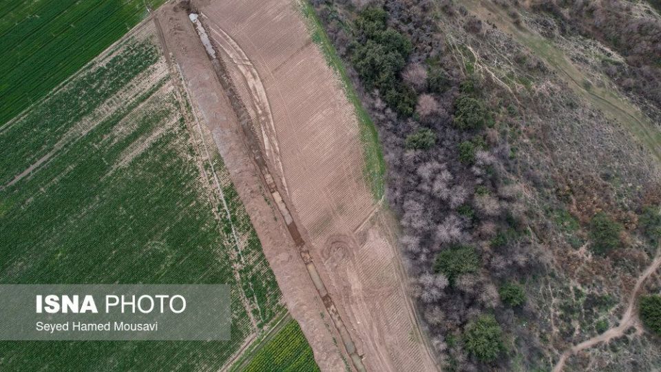 پارک ملی کرخه؛ زیستگاه گوزن زرد