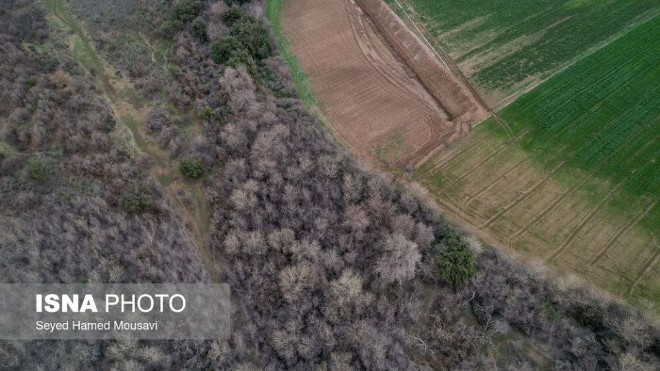 پارک ملی کرخه؛ زیستگاه گوزن زرد