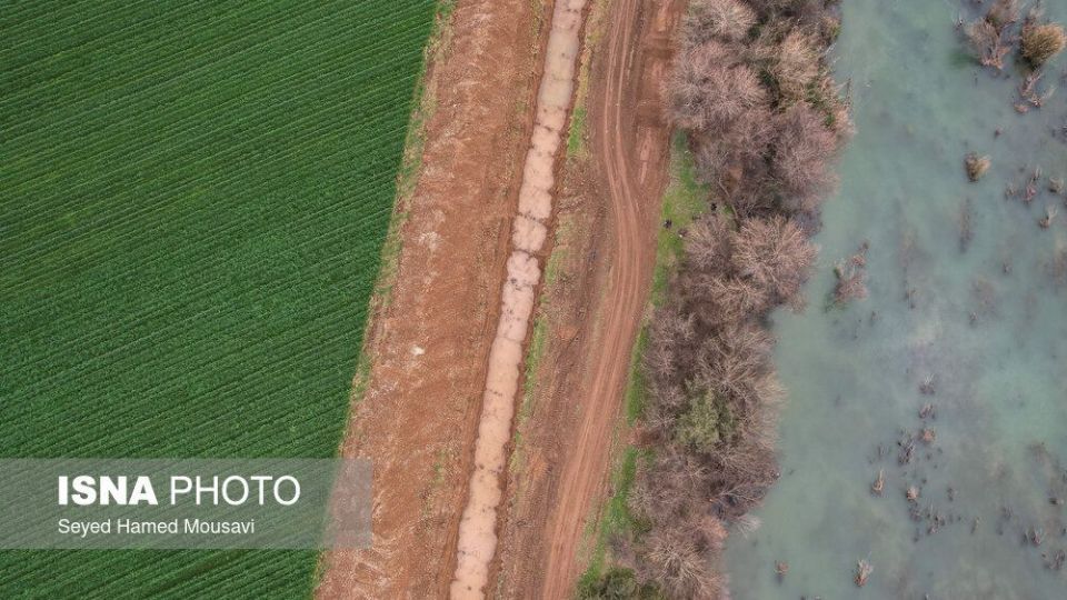 پارک ملی کرخه؛ زیستگاه گوزن زرد