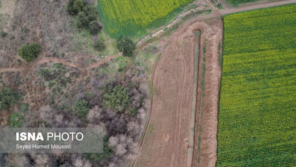 پارک ملی کرخه؛ زیستگاه گوزن زرد