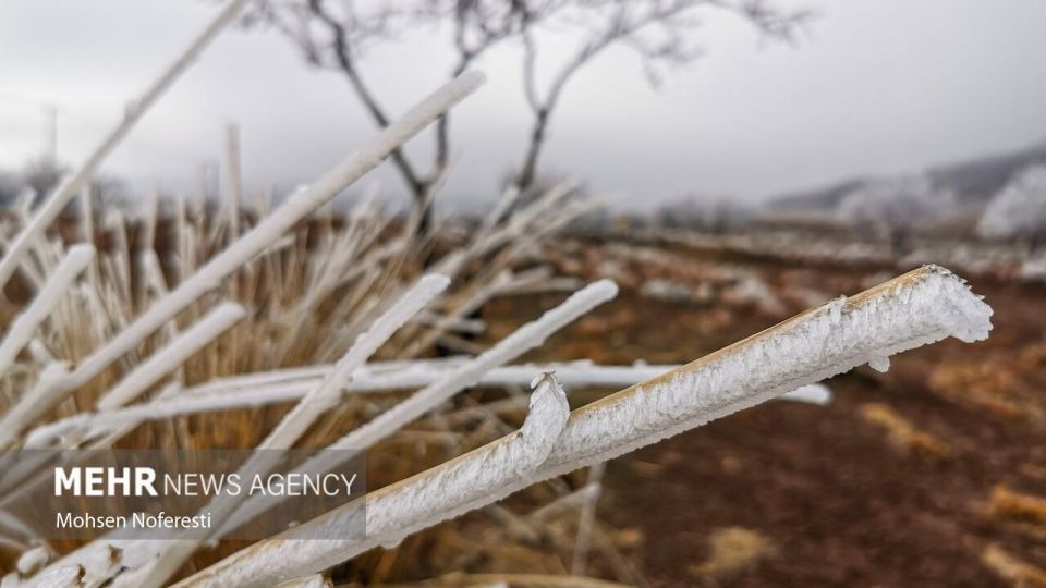 طبیعت کریستالی