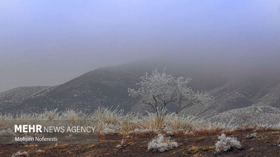 طبیعت کریستالی