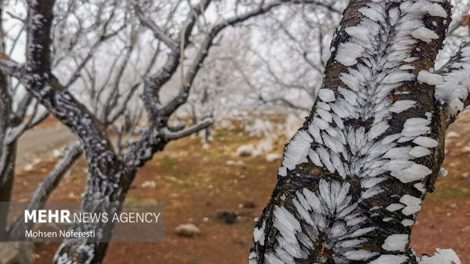 طبیعت کریستالی