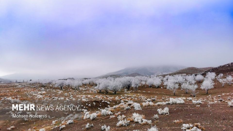 طبیعت کریستالی