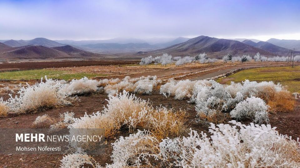 طبیعت کریستالی