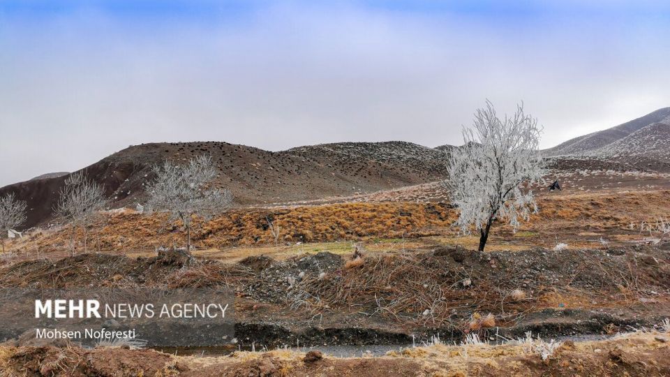 طبیعت کریستالی