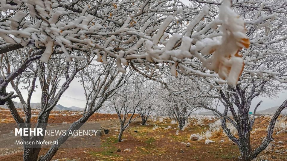 طبیعت کریستالی