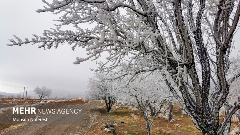 طبیعت کریستالی