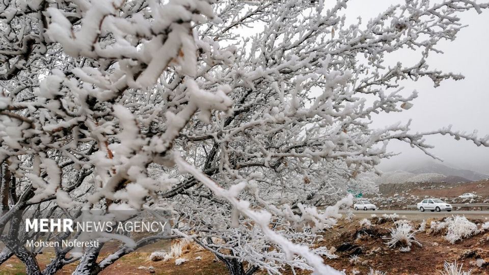 طبیعت کریستالی