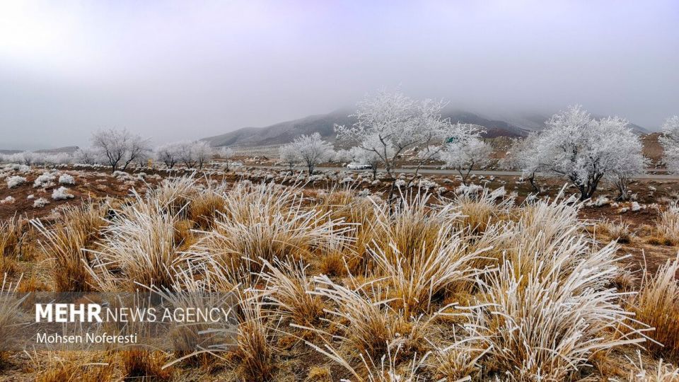 طبیعت کریستالی