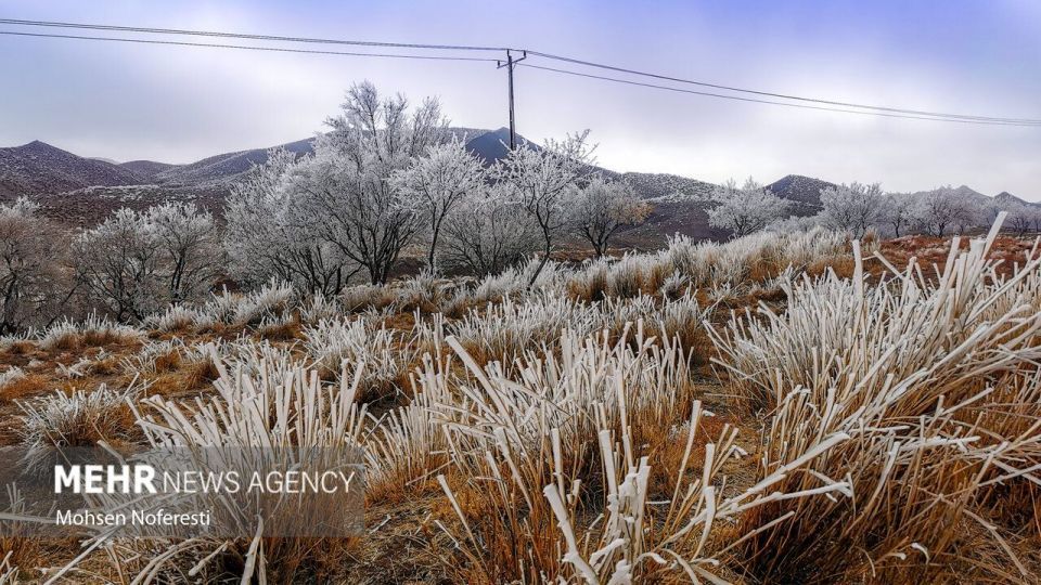 طبیعت کریستالی