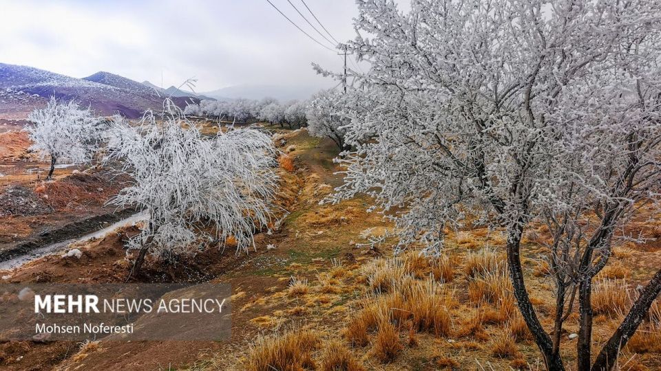 طبیعت کریستالی